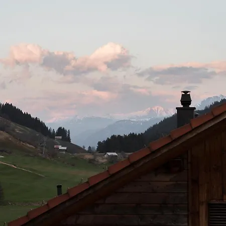 Mulin By Amanthos (adults Only) Breíl